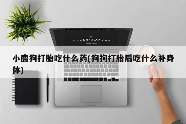 米非司酮片米索前列醇片网店在线购买小鹿狗打胎吃什么药(狗狗打胎后吃什么补身体)