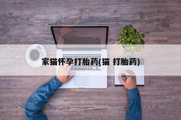 米非司酮片米索前列醇片网店在线购买家猫怀孕打胎药(猫 打胎药)